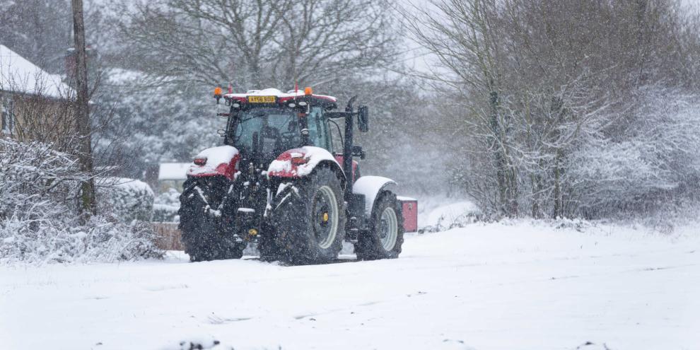 Der Winter dreht die nächsten Tage richtig auf.