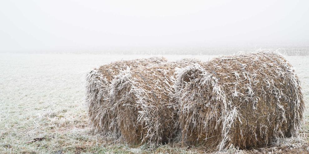 Die angezündeten Strohballen waren als Wildtierfütterung gedacht.