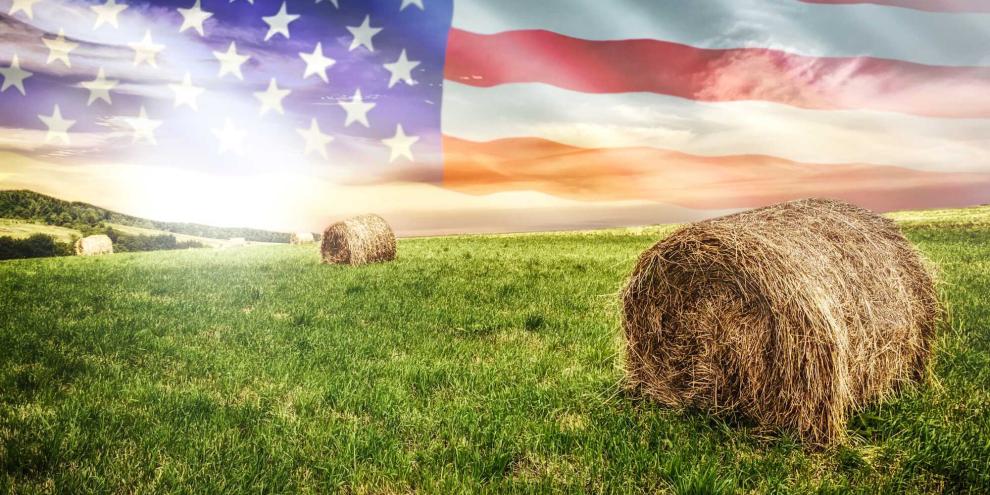 Eine USA Flagge auf einem Feld mit Rundballen