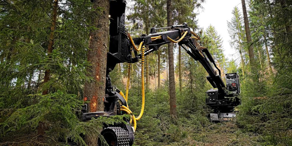 Bei 20 m Reichweite braucht es Fingerspitzengefühl bei der Kranarbeit.