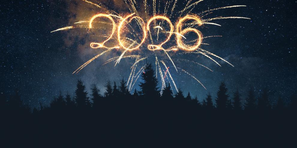 Forstpraxis wünscht einen guten Rutsch.