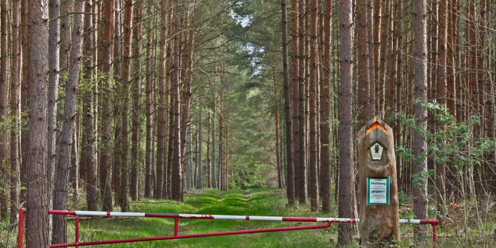 Waldweg-gesperrt-AdobeStock_433909924