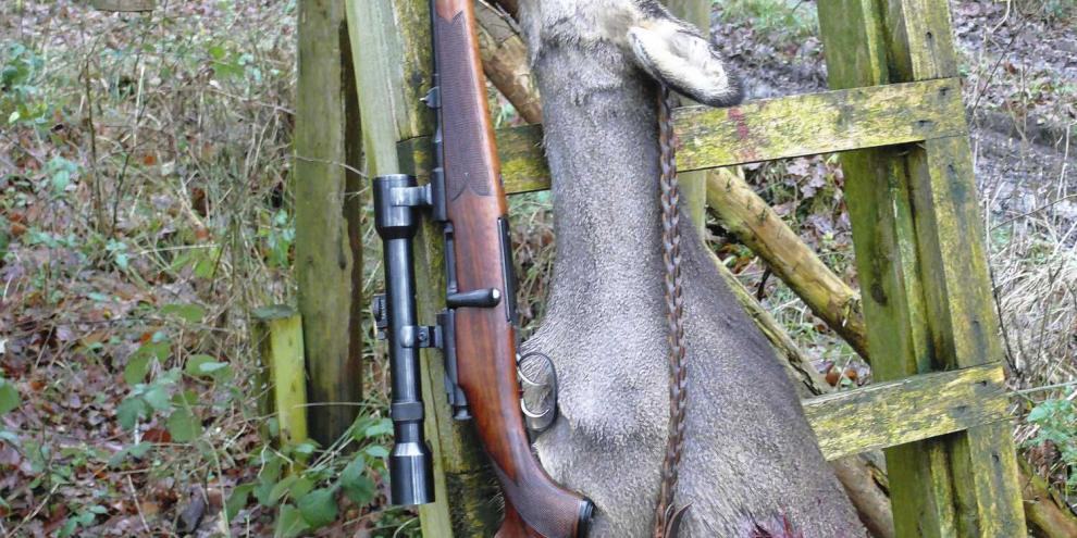 Noch heute begeistert der Mannlicher-Stutzen als zuverlässige, bestechend handliche Rehwildbüchse.
