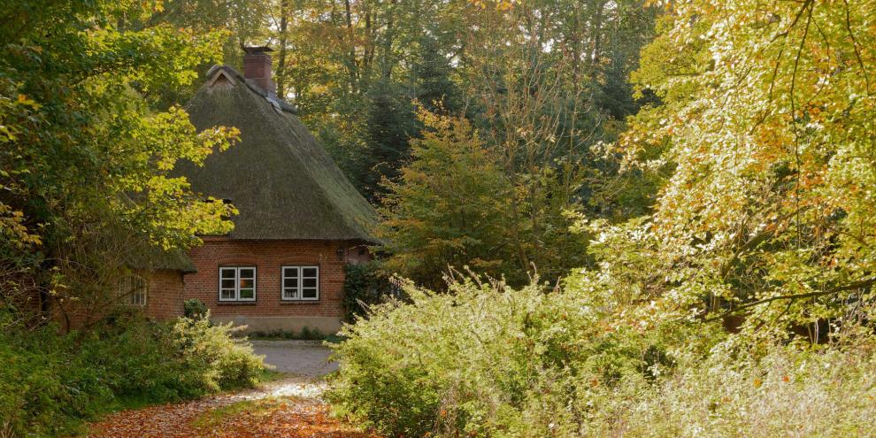 Wald-Forsthaus-AdobeStock_228681870