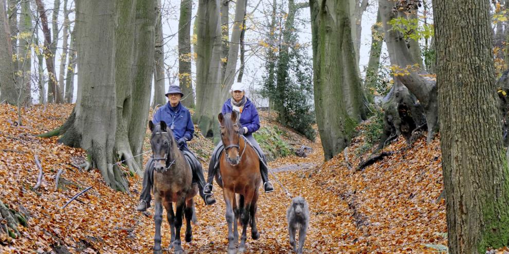 Ein Herz für andalusische Hengste: Johanna Christiansen auf Eddi und Kai Christiansen auf Brúno beim Ausritt.
