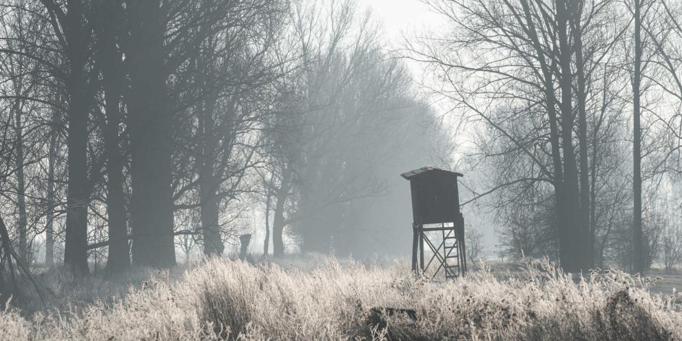 In Sachsen wird im März ein neues LJV-Präsidium gewählt.