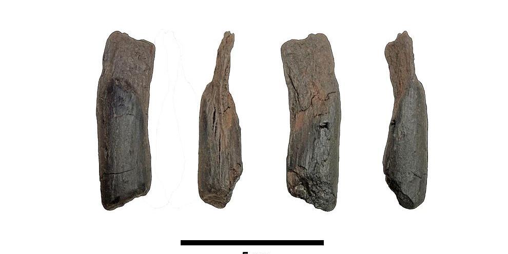 Forscher haben die bisher frühesten bekannten Holzwerkzeuge entdeckt, die Menschen hergestellt und mit ihren Händen zur Arbeit genutzt haben.