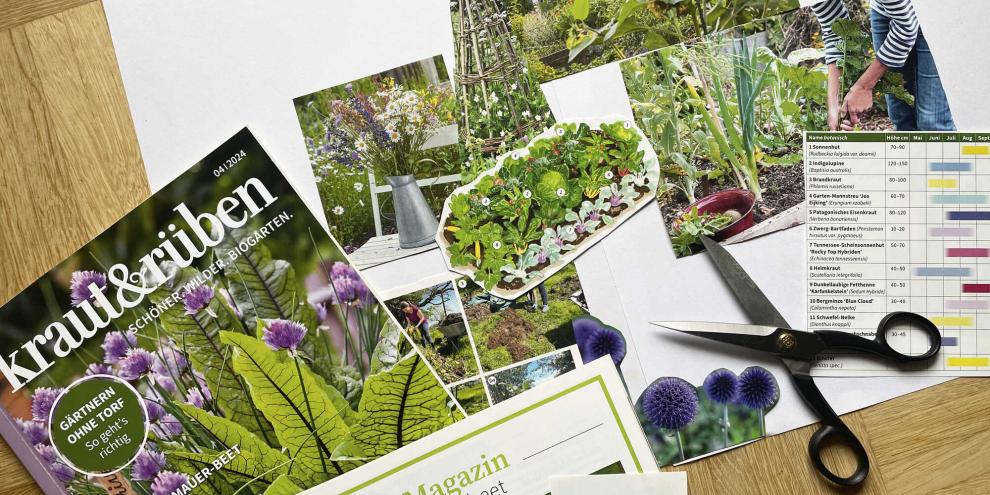 Mit Moodboard zum Traumgarten: Das Basteln einer Bilder-Collage macht Spaß und bringt Klarheit.