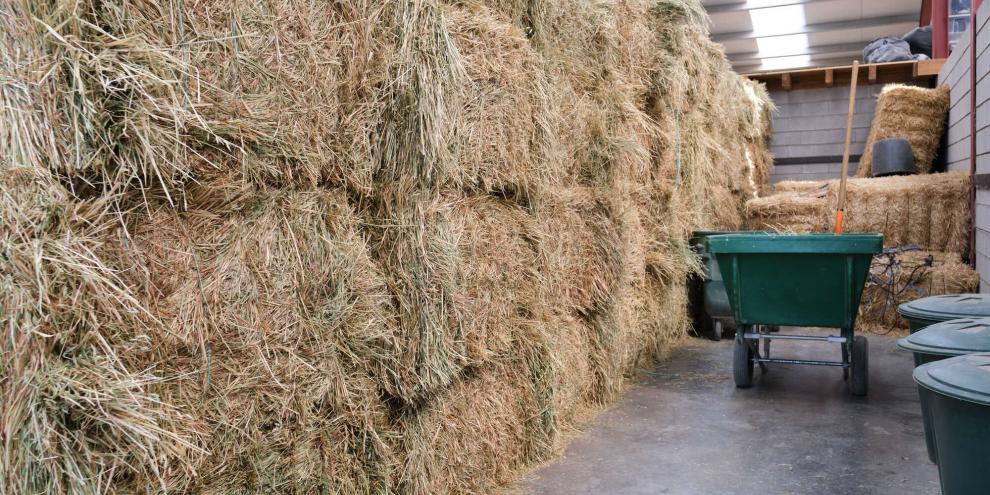 Heulager-AdobeStock_449742279