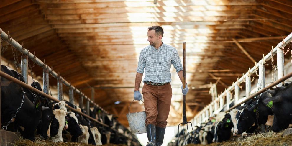 Nebenerwerb-Landwirt_AdobeStock_218741914