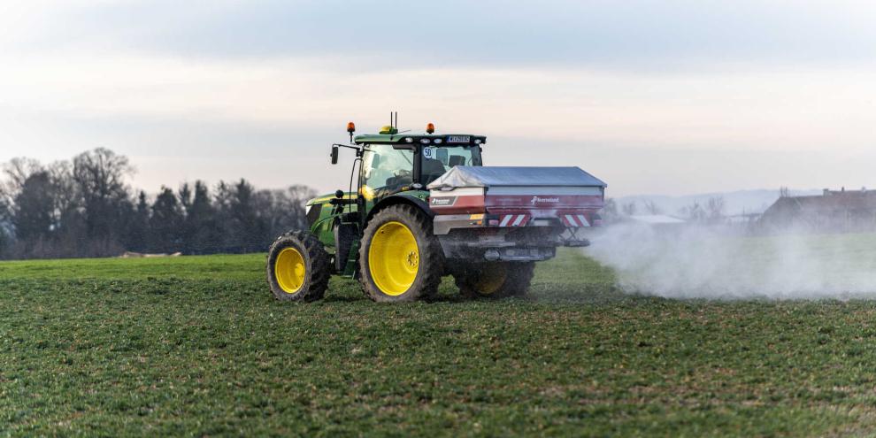 Mit der Stickstoffform können Landwirte gezielt die Entwicklung von Spross oder Wurzel beeinflussen.