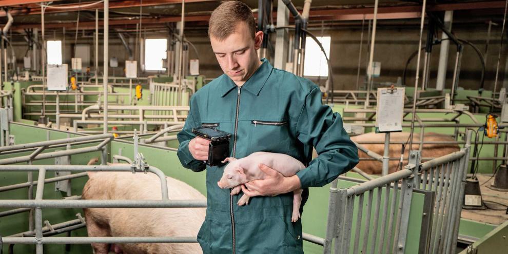 Die korrekte Erfassung der Tierdaten inklusive Anomalien ist unerlässlich für die Erbfehlerzuchtwertschätzung.