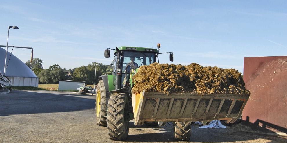 Neben Mais eignen sich viele weitere Energiepflanzen für die Fütterung der Biogasanlage.