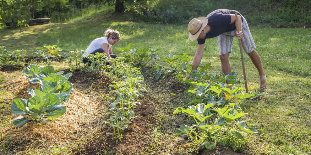 links:Angedeutete Kreisbeete entlang von Höhenlinien bewirken eine geschickte Umleitung von Regenwasser.