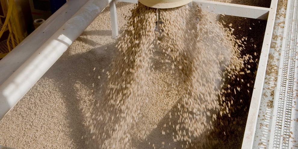 Holzpellets-Pelletspreise-AdobeStock_340287030