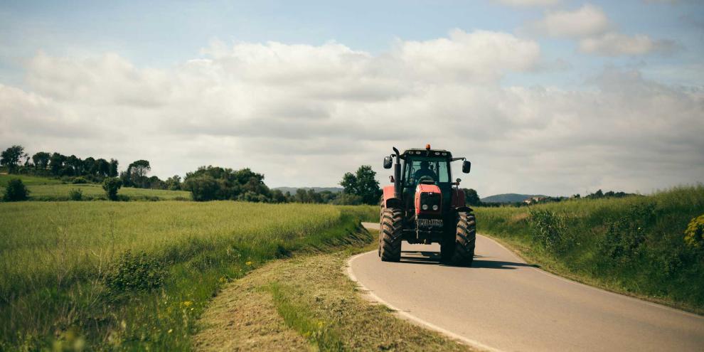 Wirtschaftswweg-landwirtschaft-AdobeStock_629206003