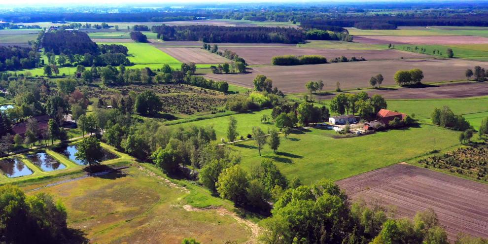 Bauernhof-Landwirtschaft-AdobeStock_1826308450