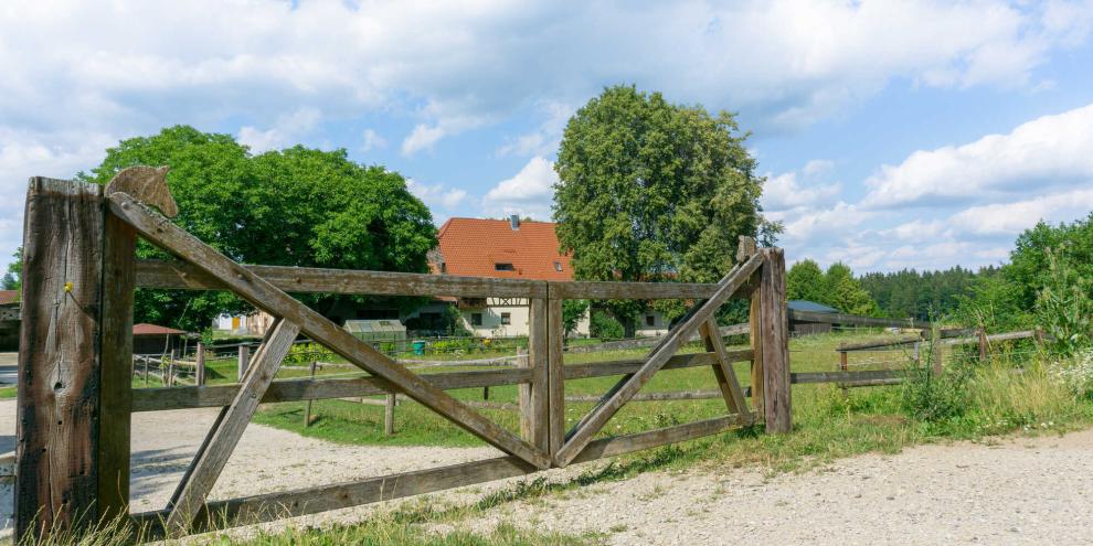 Der Tierschutzhof Dickel wollte die Spende der Jäger nicht annehmen (Symbolbild).
