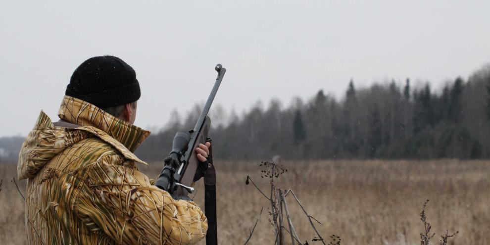 Der Schuss eines Jägers im Nebel auf ein vermeintliches Wildschwein löste wohl eine Kettenreaktion aus, an deren Ende drei Menschen starben (Symbolbild).