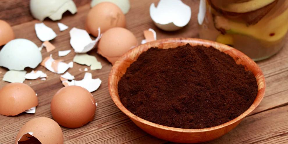 Mit diesen Abfällen aus der Küche den Garten düngen.