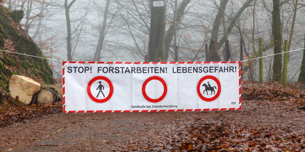 Waldsperrung-AdobeStock_314307289