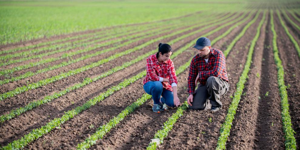 Erfolgreich in die Hofnachfolge und landwirtschaftliche Existenzgründung: Mit Unterstützung geht es besser.