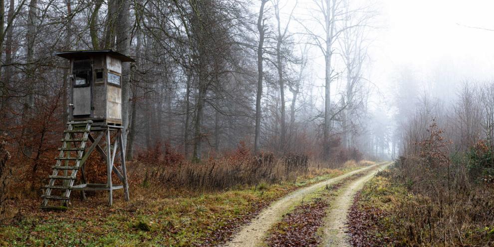 Keine Haftung des Jagdpächters bei Sturz eines Dritten von einem Hochsitz: Das hat das OLG Frankfurt nun entschieden.