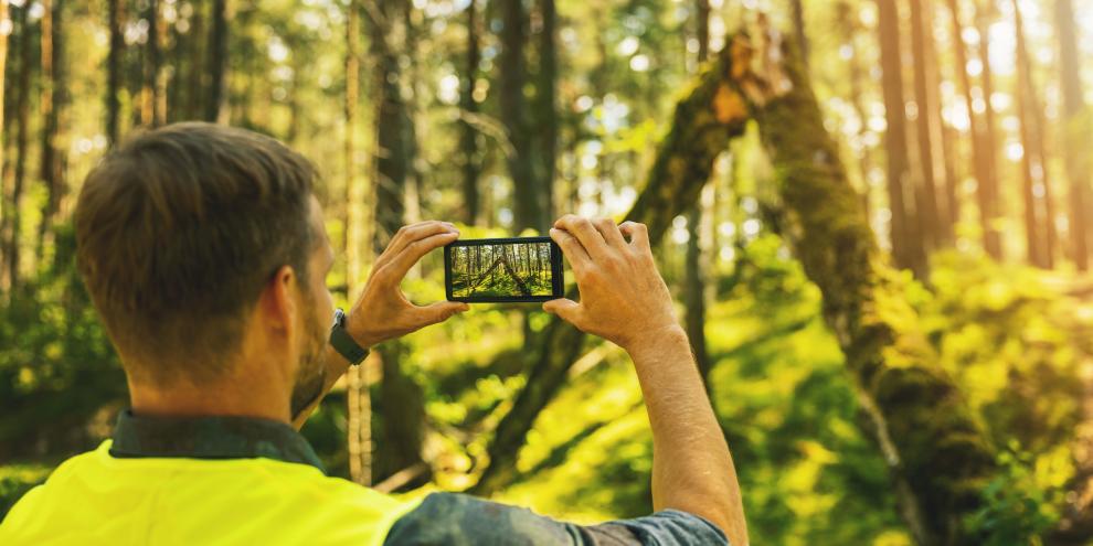 Digitale Werkzeuge sollen sich verändernde Bedingungen im Wald für die Forstwirtschaft berücksichtigen können.