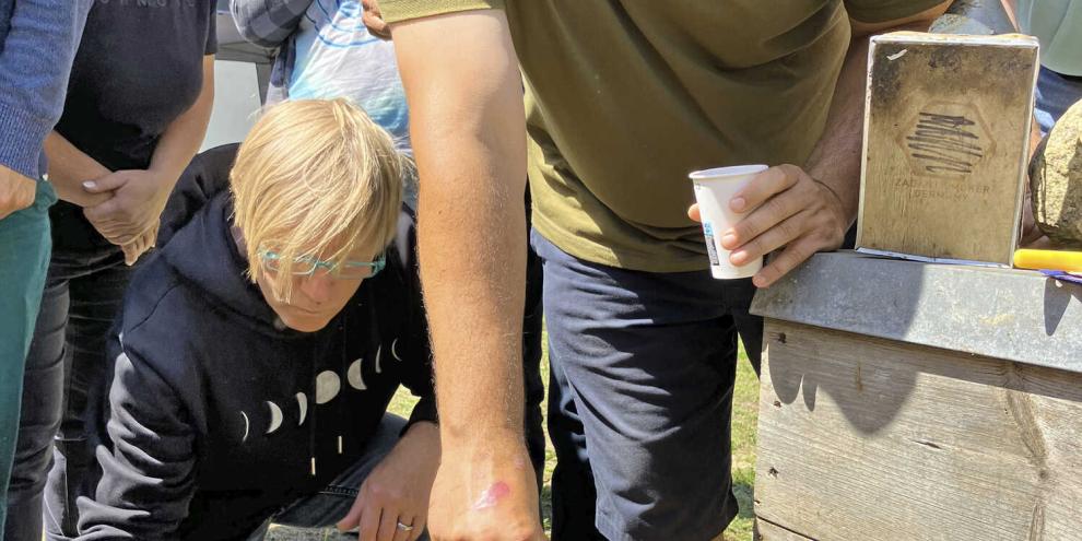 Es ist nicht schlimm, wenn mal etwas schiefgeht. Hier ist der Gruppe eine Königinnenzelle abgestürzt.