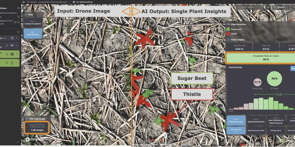 Die Plattform Pheno-Inspect FarmAnalyzer™ unterscheidet zwischen Nutzpflanzen und Unkraut.
