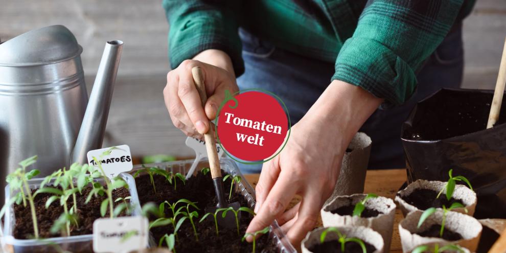 Tomatenwelt Folge 7 Header