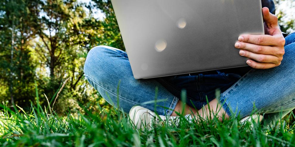 Die März-Webinare zur Baumartenwahl lassen sich auch im Outdoor-Office verfolgen.