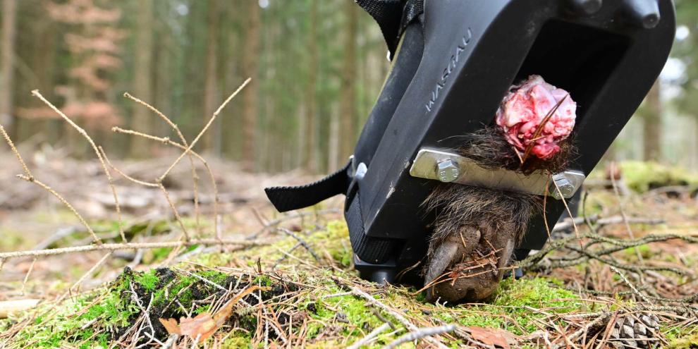 Mit dem Fährtenschuh kann eine realitätsnahe Fährte getreten werden.