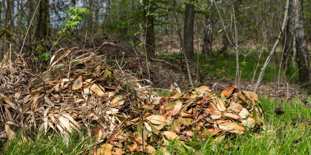 Gartenabfälle gehören nicht in den Wald.