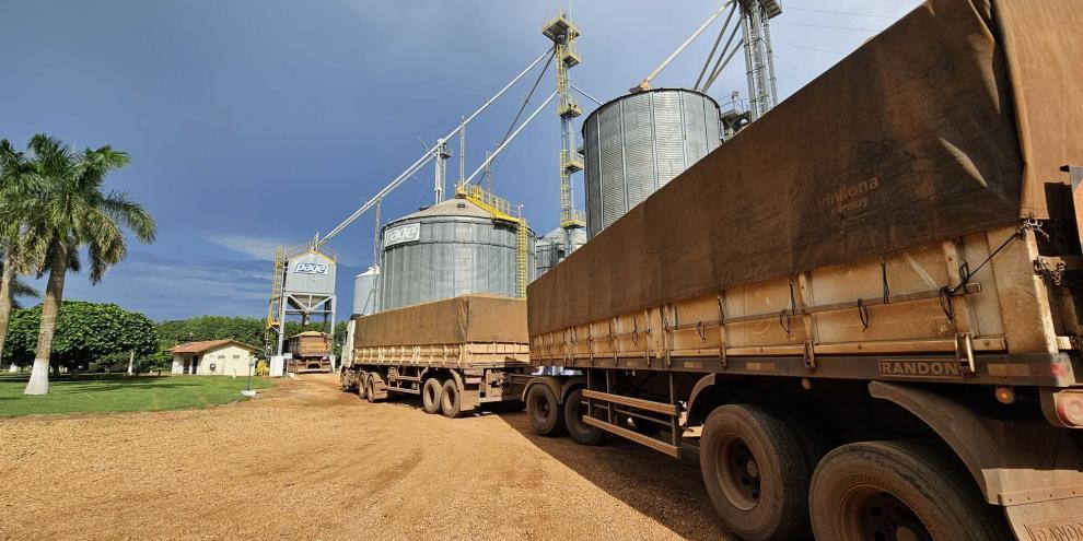Verladung Anfang Februar 2026 auf einer Farm in Brasilien: Die Betriebe in den Mercosur-Staaten stehen in den Startlöchern für den Freihandel.