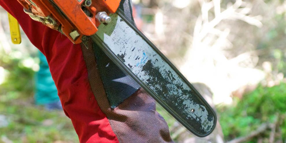 Zur Arbeit mit der Motorsäge gehört immer die persönliche Schutzausrüstung. Ihre Nutzung ist durch die VSG vorgeschrieben.