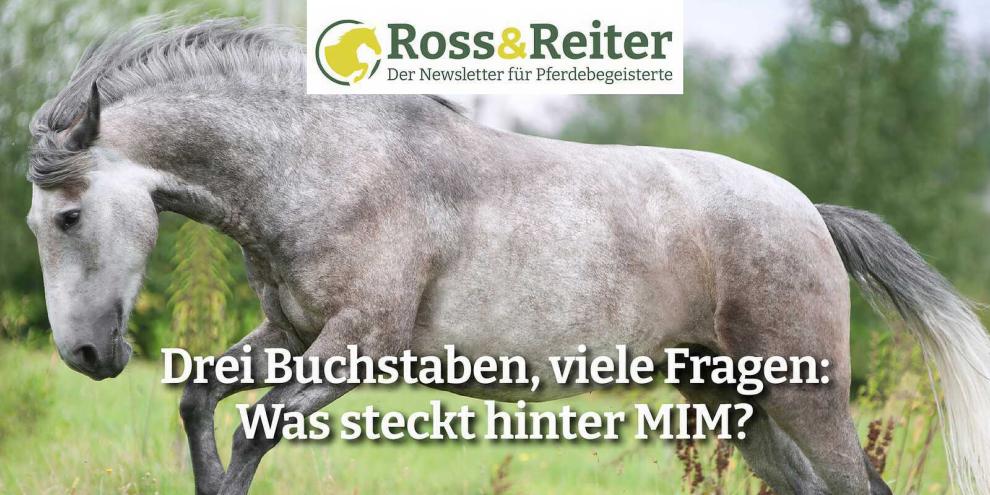 260377_RuR_Headerbild_Artikelseite_online_Boxengespraech_MIM_2000x800