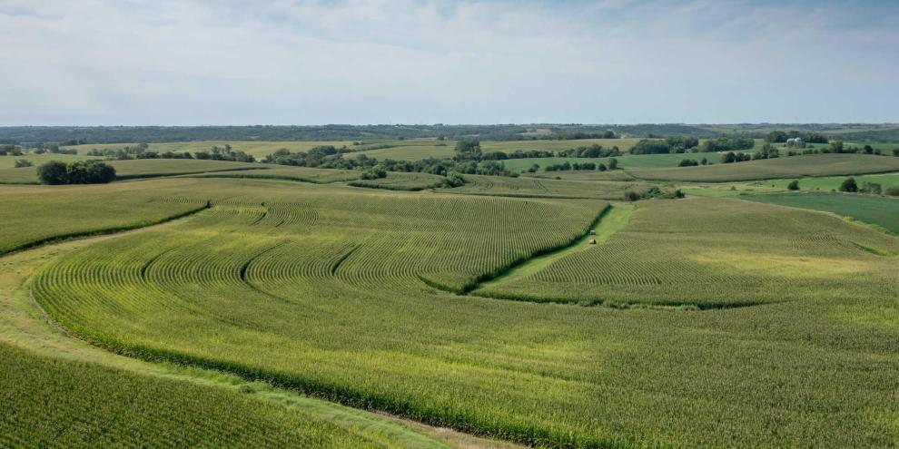 Farmland-Iowa-AdobeStock_450856761