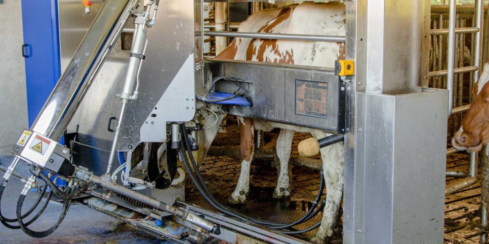 Melkroboter_AdobeStock_219869051