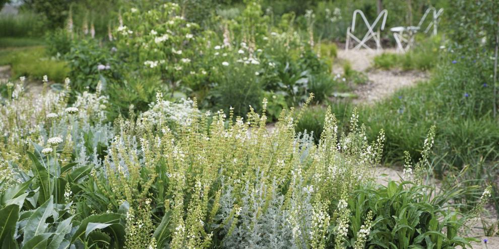 Sonnige Flächen und Beete können Sie mit Sandmulch bedecken. Das reduziert den Pflegeaufwand und lässt Stauden prächtig gedeihen.
