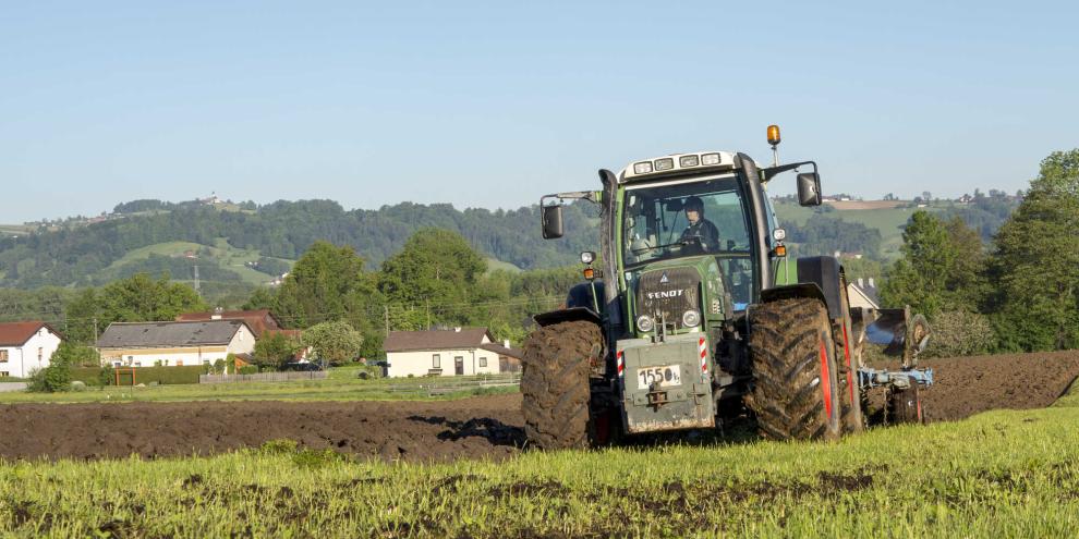 Bund und Länder lockern die Vorgaben für den Grünlandumbruch.