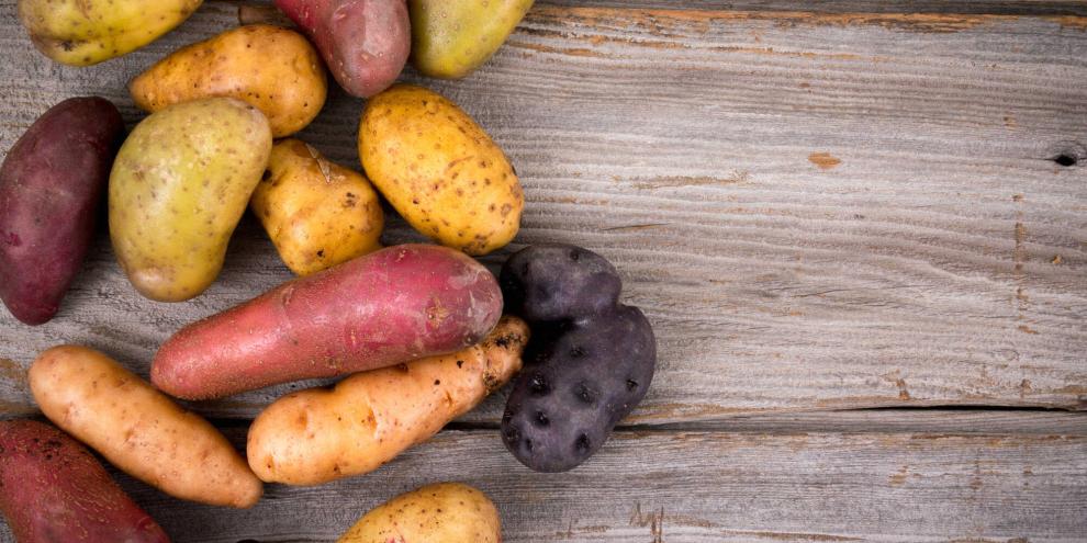 Für jeden Geschmack etwas dabei: Kartoffelsortenvielfalt