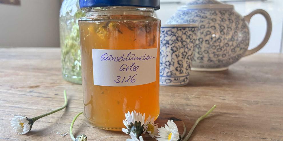 Goldgelbes Gänseblümchen-Gelee in einem Schraubdeckelglas