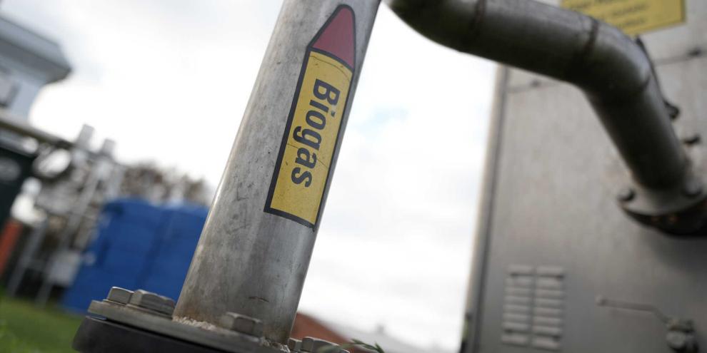 Biogasanlagen in der Anschlussförderung erhalten nun doch die volle Vergütung ausgezahlt.