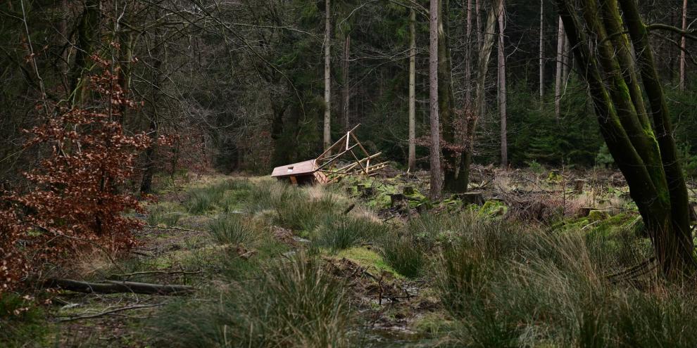 In Sachsen haben wohl Anhänger der ALF 75 Hochsitze zerstört.