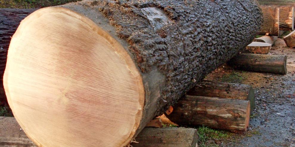 Die Braut erbrachte über 25.000 € Erlös.