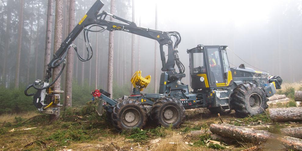 Lukas Reisinger fällt mit dem Welte W230K eine Fichte.
