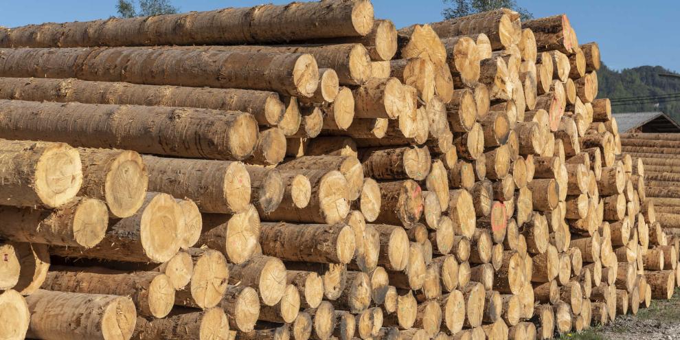 Holz-Saegewerk_20-ID90365