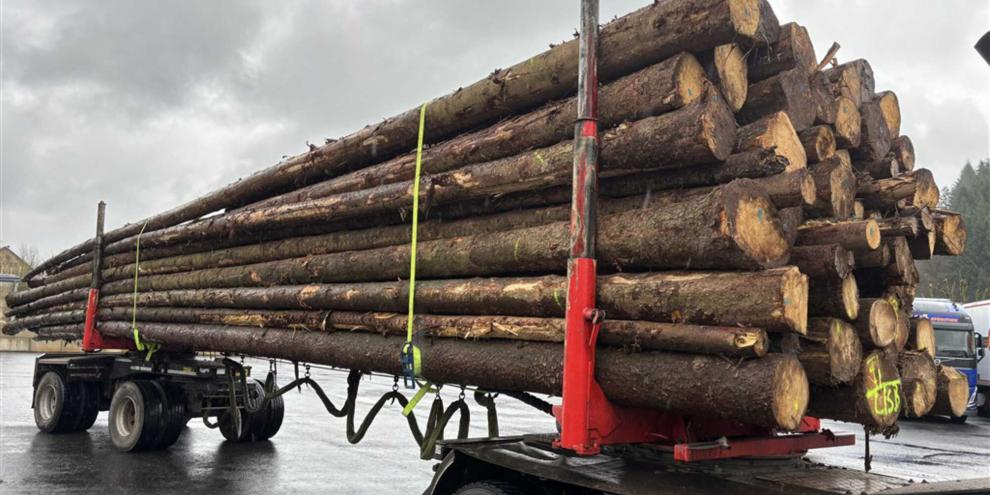 Für diesen Holztransporter war der Weg in Rheinland-Pfalz zu Ende. Er hatte deutlich zu viele Fichtenstämme geladen.