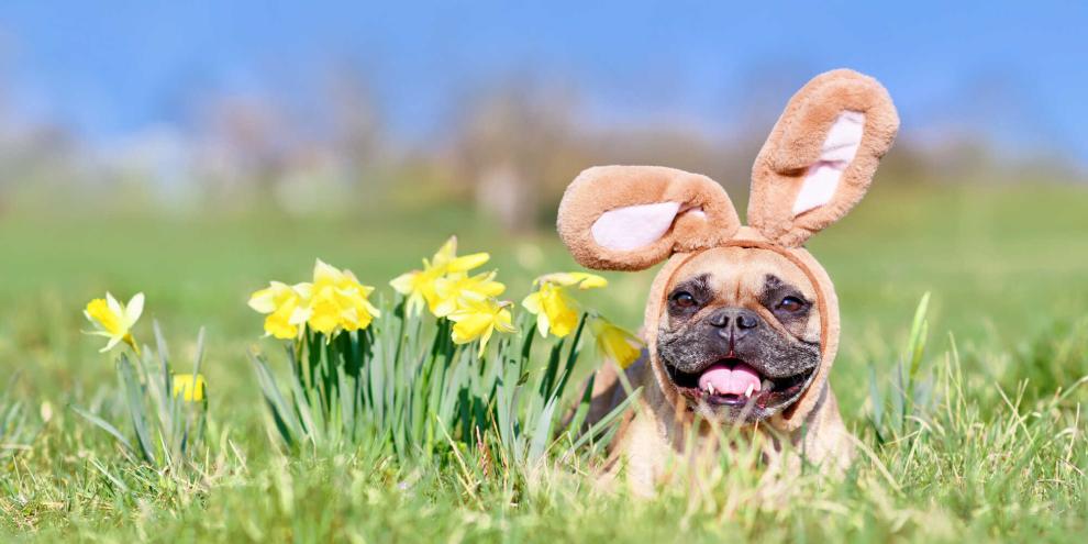 So bunt wie Ostereier sind auch die Osterbräuche dieser Welt.